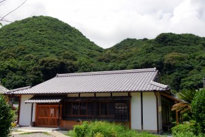 全景