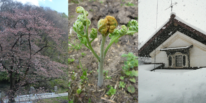 4月20日(土) 参加者募集<br>大工さんと巡る、お宝発見古民家ツアーin山形