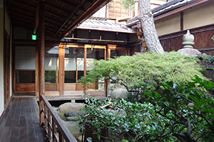 IMGP4066_300-200.jpg